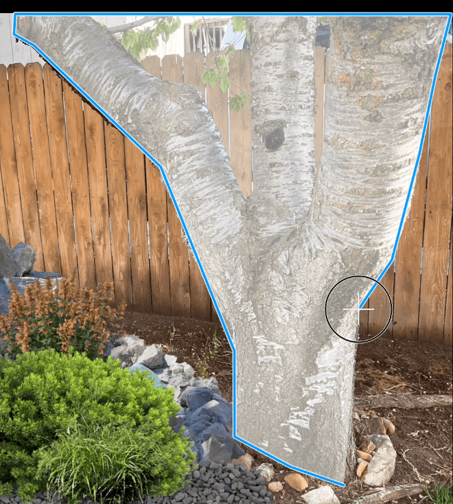 Tracing an area